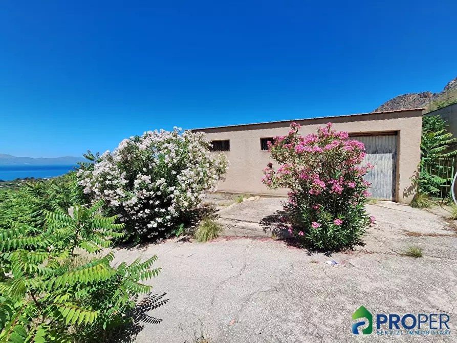 Immagine 3 di Terreno in vendita  a Terrasini