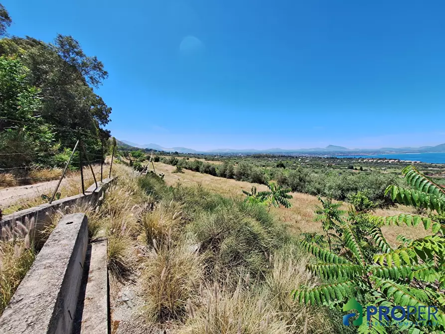 Immagine 2 di Terreno in vendita  a Terrasini