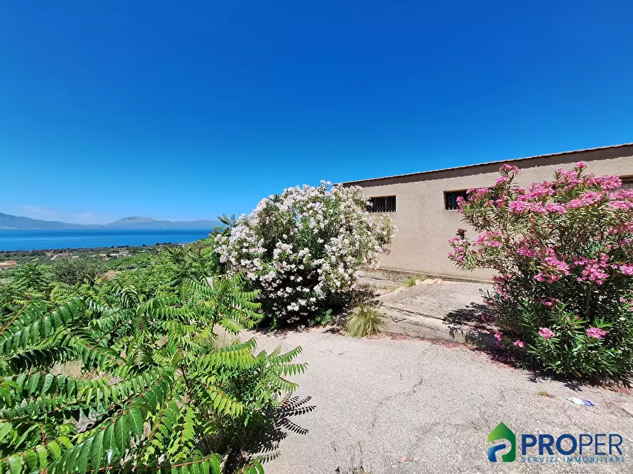 Immagine 7 di Terreno in vendita  a Terrasini