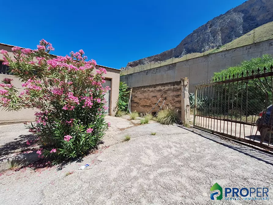 Immagine 4 di Terreno in vendita  a Terrasini