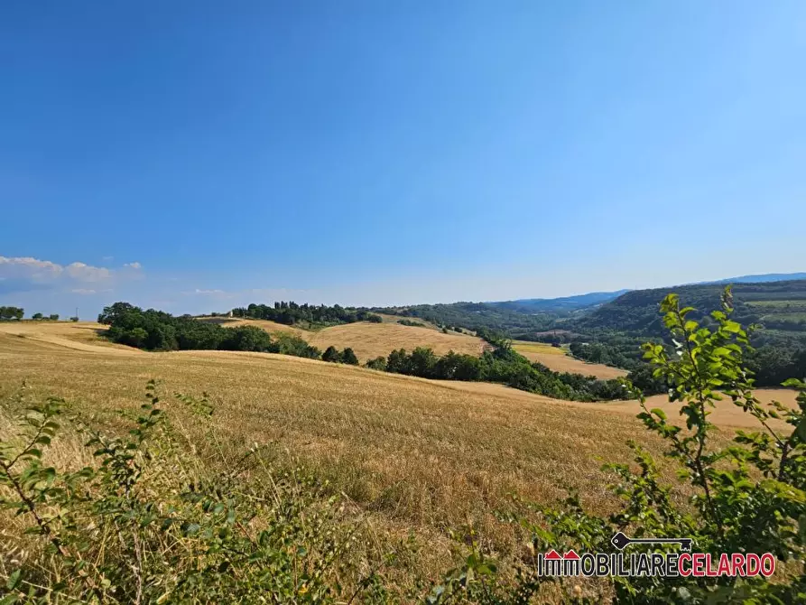 Immagine 3 di Terreno in vendita  a Colle Di Val D'elsa