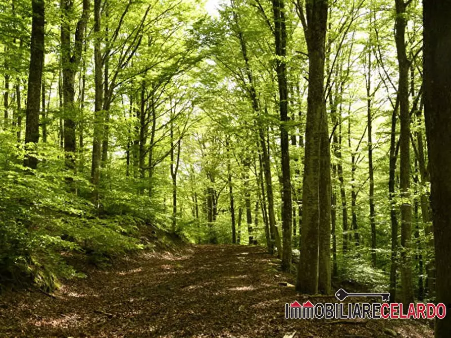 Immagine 2 di Terreno in vendita  a Monteriggioni