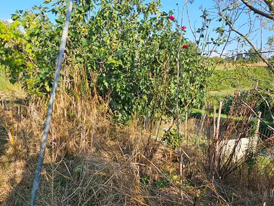 Immagine 1 di Terreno in vendita  a Colle Di Val D'elsa