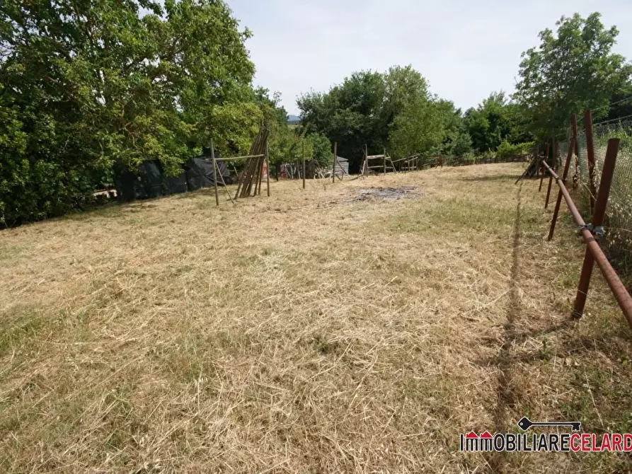 Immagine 3 di Terreno in vendita  a Colle Di Val D'elsa