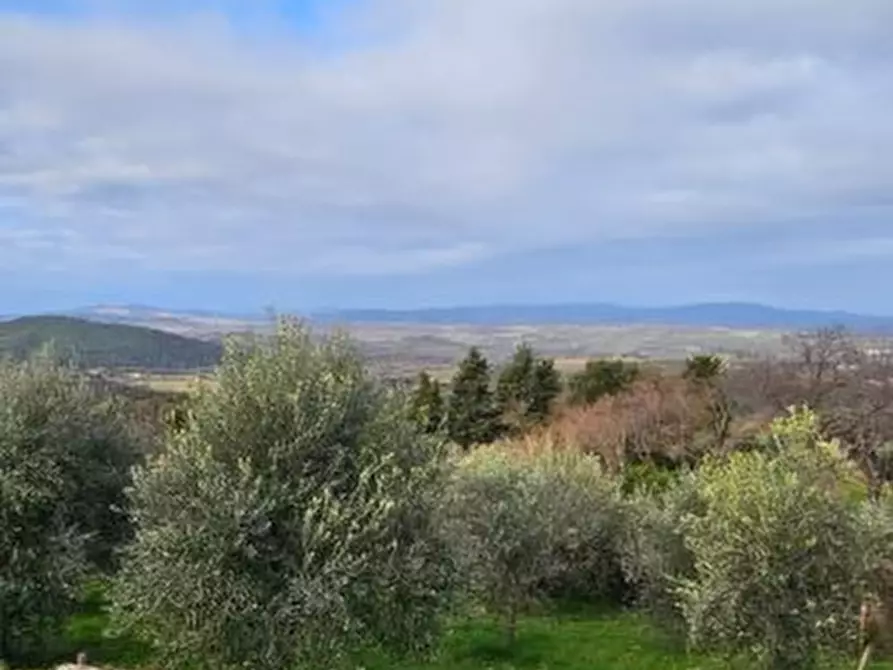 Immagine 1 di Terreno in vendita  a Casole D'elsa