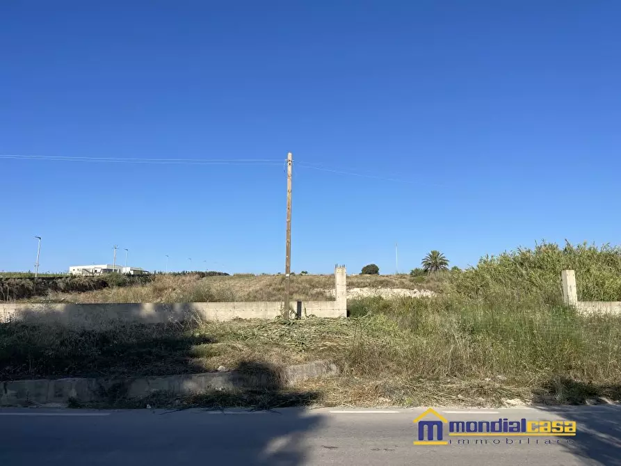 Immagine 4 di Terreno in vendita  a Pachino