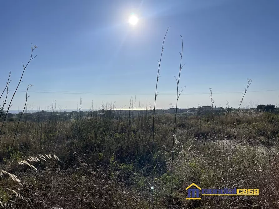 Immagine 6 di Terreno in vendita  a Pachino