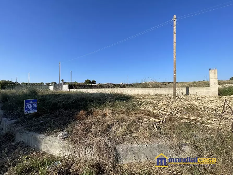 Immagine 2 di Terreno in vendita  a Pachino