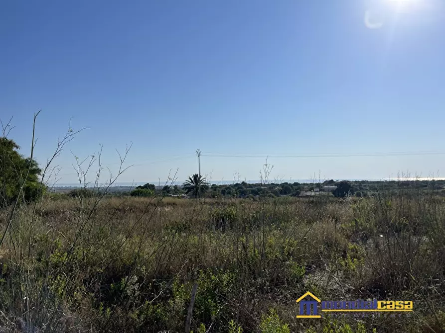 Immagine 3 di Terreno in vendita  a Pachino