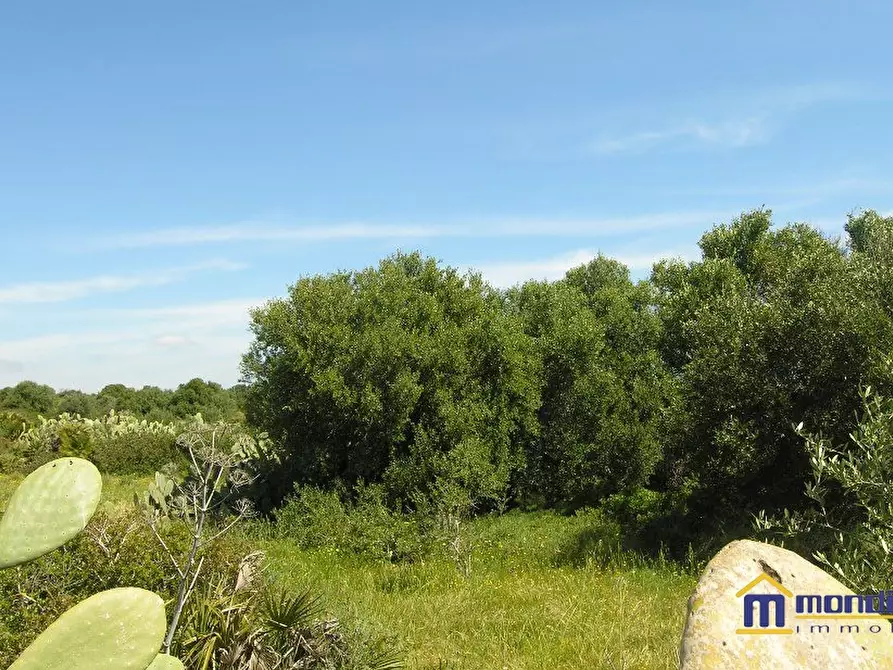 Immagine 2 di Terreno in vendita  a Portopalo Di Capo Passero