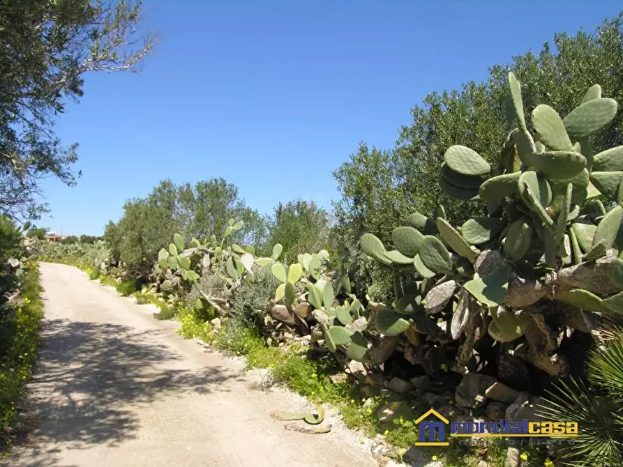 Immagine 1 di Terreno in vendita  a Portopalo Di Capo Passero
