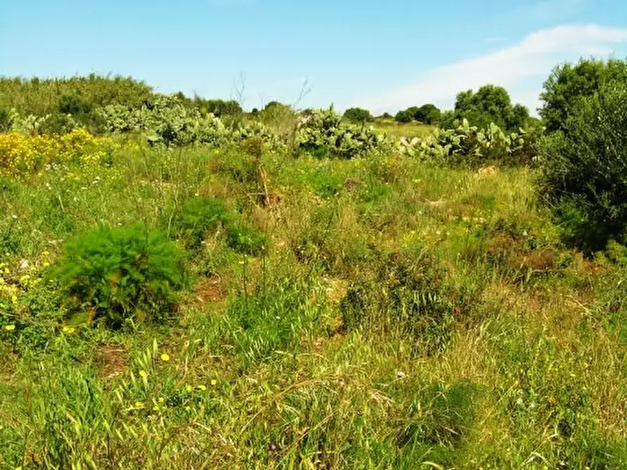 Immagine 3 di Terreno in vendita  a Portopalo Di Capo Passero