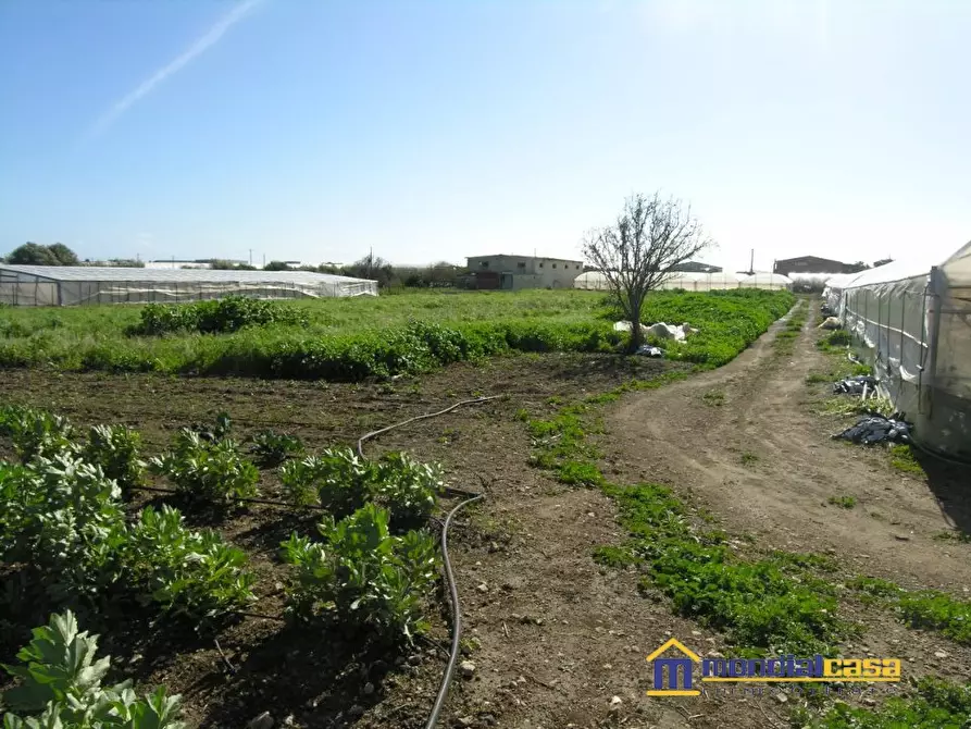 Immagine 10 di Terreno in vendita  a Pachino