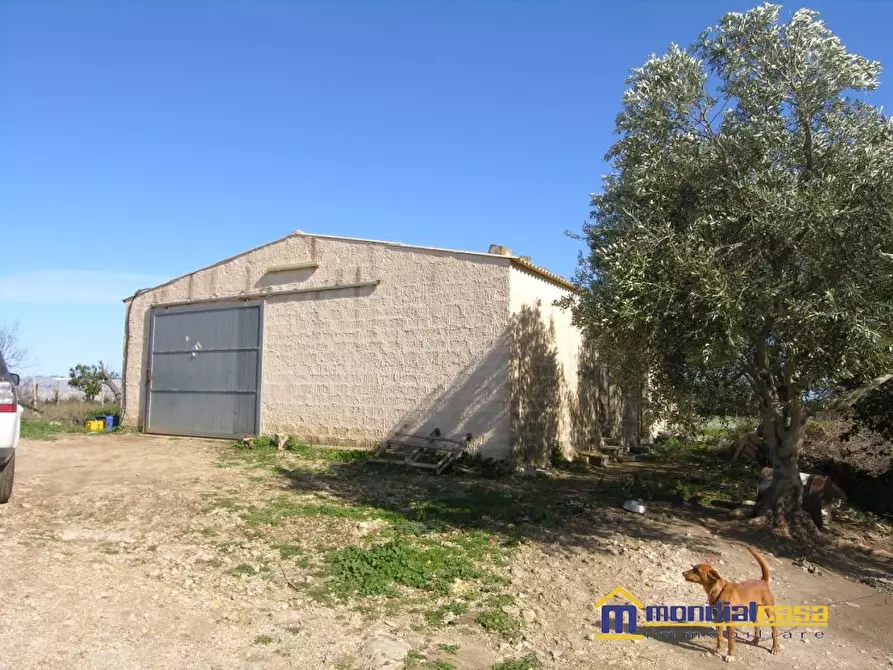 Immagine 4 di Terreno in vendita  a Pachino