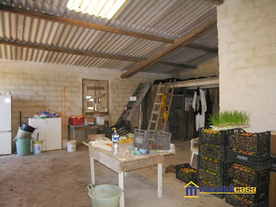 Immagine 6 di Terreno in vendita  a Pachino