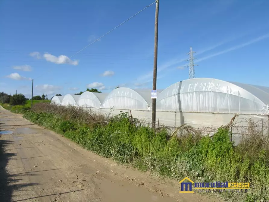 Immagine 1 di Terreno in vendita  a Pachino