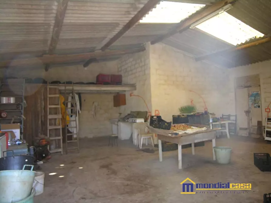 Immagine 5 di Terreno in vendita  a Pachino