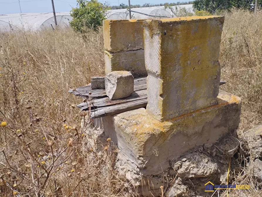 Immagine 6 di Terreno in vendita  a Pachino