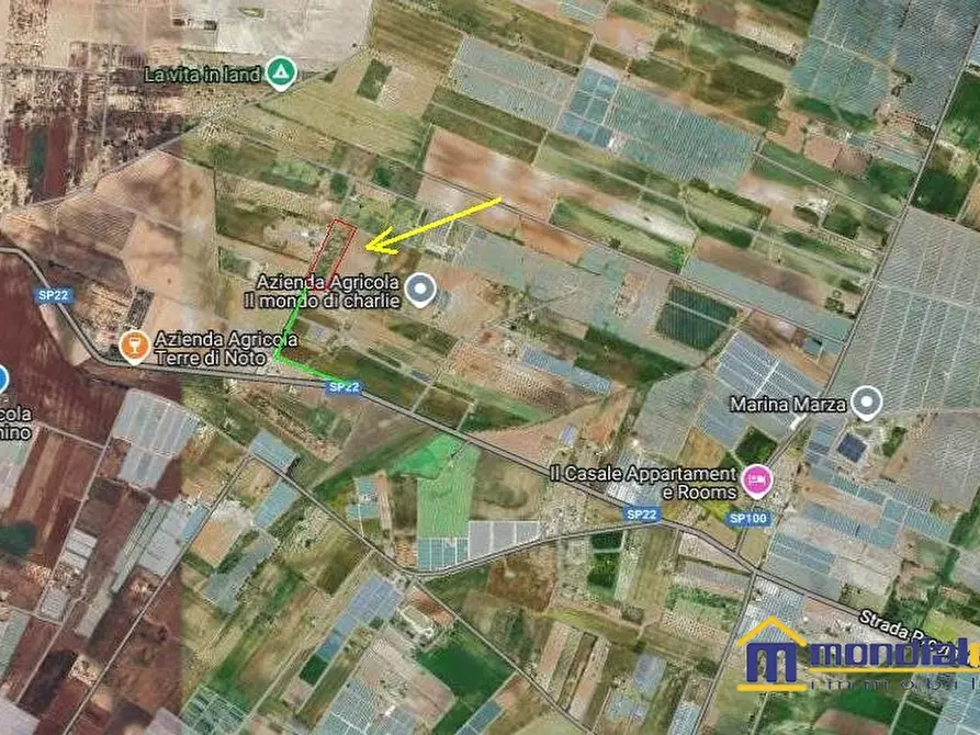 Immagine 1 di Terreno in vendita  a Pachino