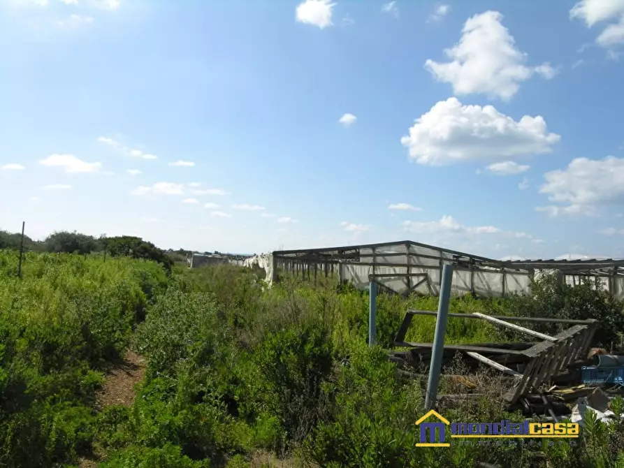 Immagine 4 di Terreno in vendita  a Portopalo Di Capo Passero