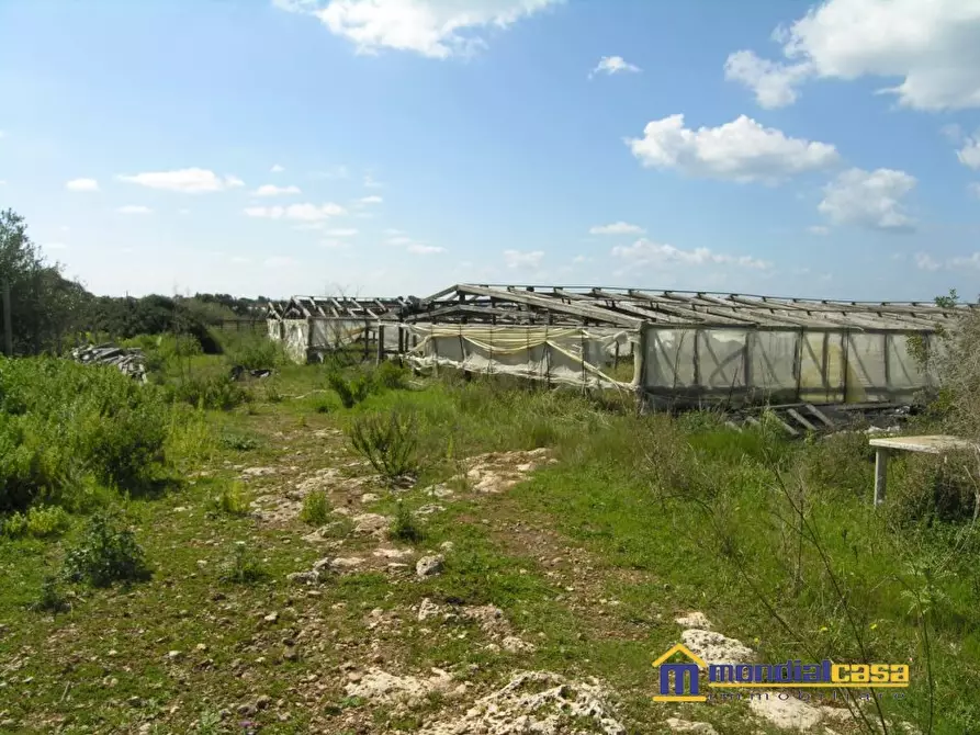 Immagine 3 di Terreno in vendita  a Portopalo Di Capo Passero