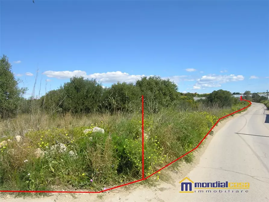 Immagine 1 di Terreno in vendita  a Pachino