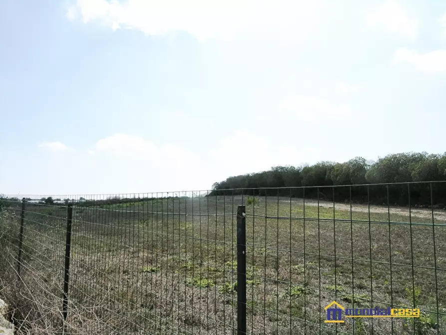 Immagine 2 di Terreno in vendita  a Pachino