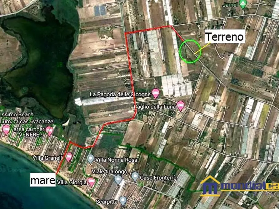 Immagine 4 di Terreno in vendita  a Pachino