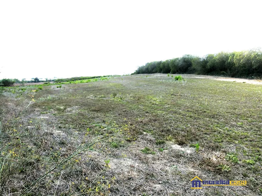 Immagine 3 di Terreno in vendita  a Pachino
