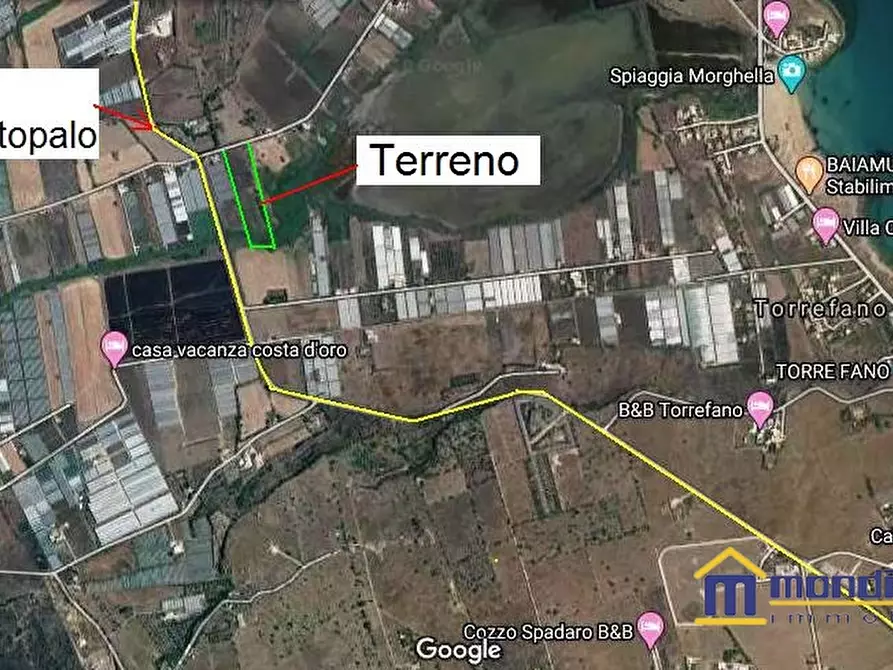 Immagine 4 di Terreno in vendita  a Pachino