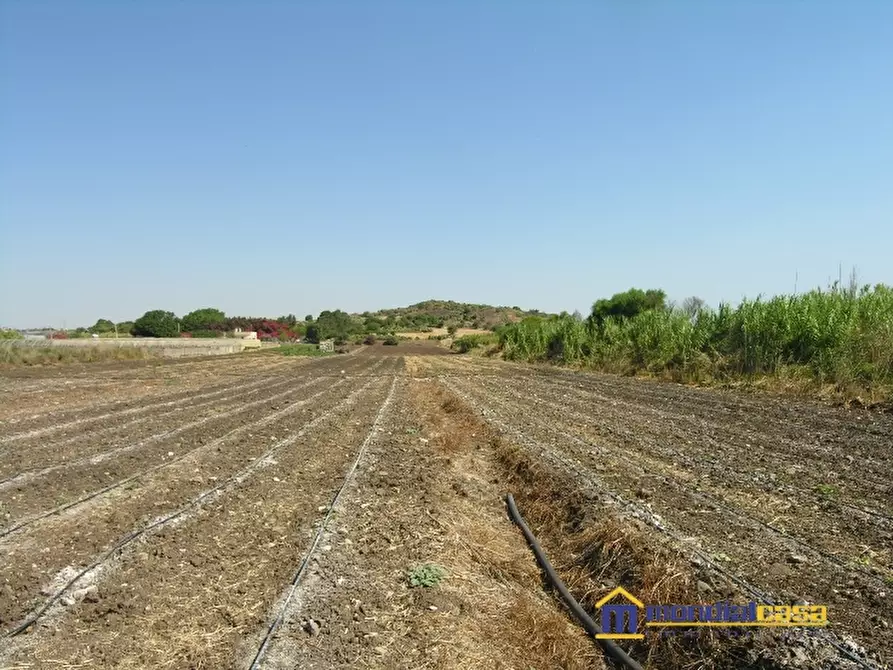 Immagine 2 di Terreno in vendita  a Pachino