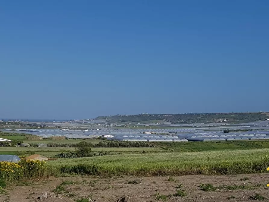 Immagine 1 di Terreno in vendita  a Pachino