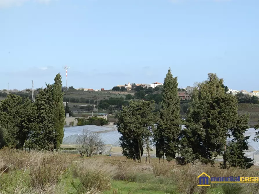 Immagine 2 di Terreno in vendita  a Pachino
