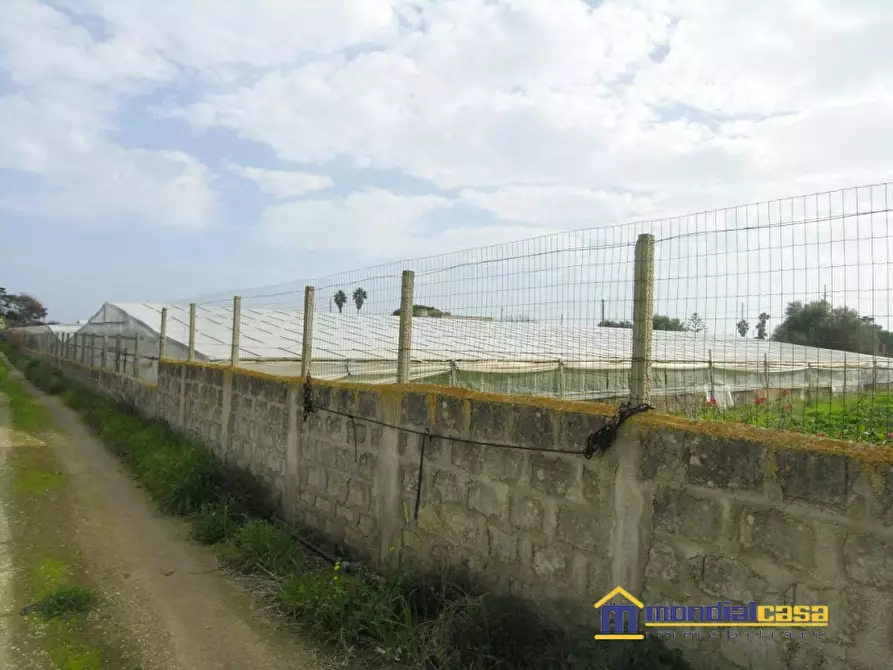 Immagine 7 di Terreno in vendita  a Portopalo Di Capo Passero