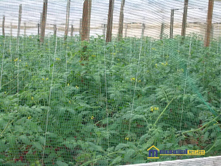 Immagine 6 di Terreno in vendita  a Portopalo Di Capo Passero