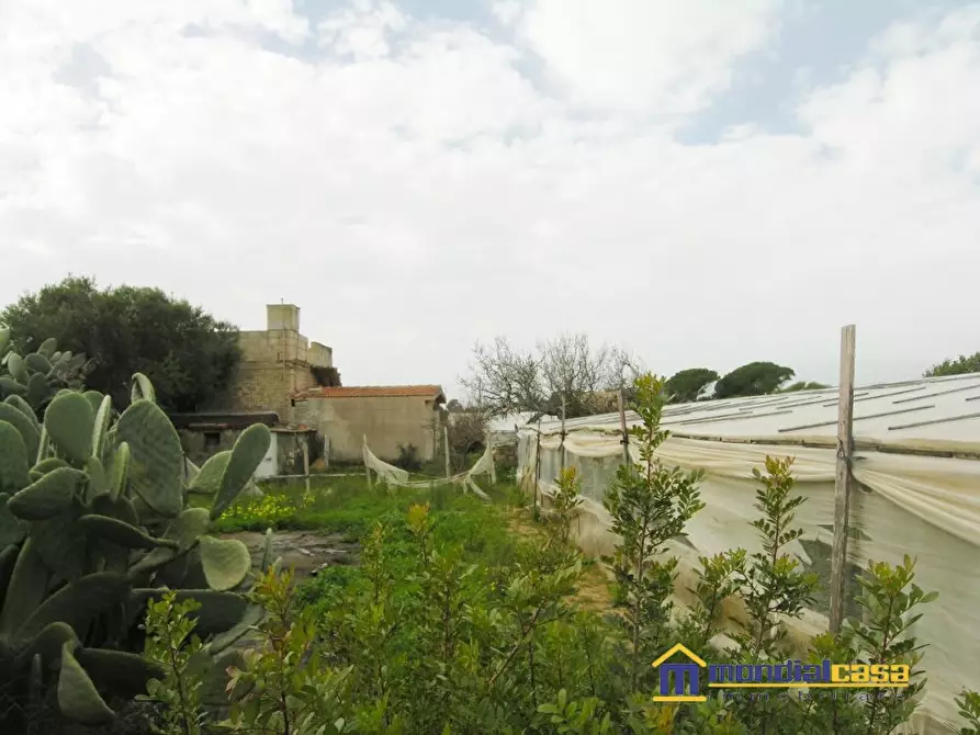 Immagine 4 di Terreno in vendita  a Portopalo Di Capo Passero