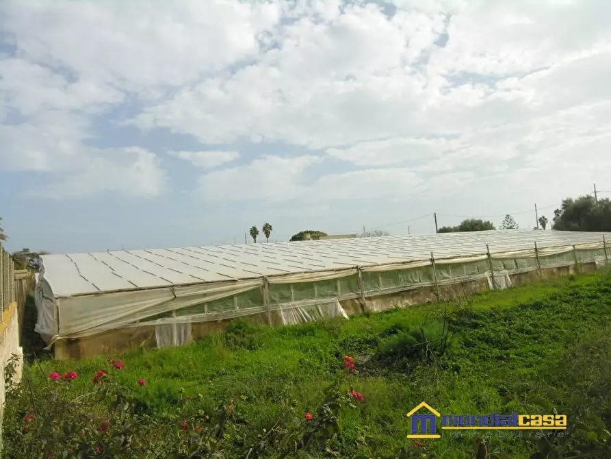 Immagine 5 di Terreno in vendita  a Portopalo Di Capo Passero