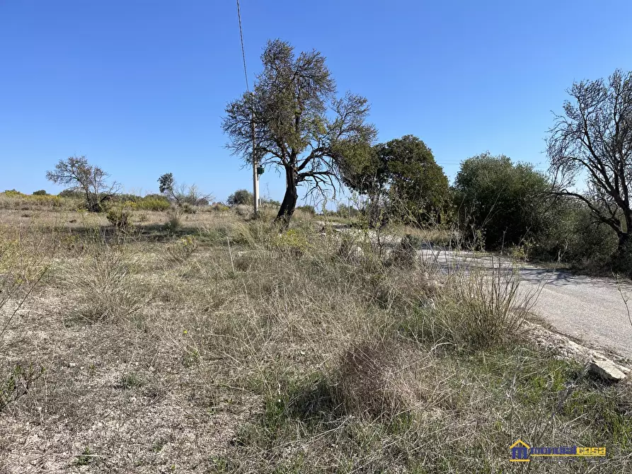 Immagine 3 di Terreno in vendita  a Noto