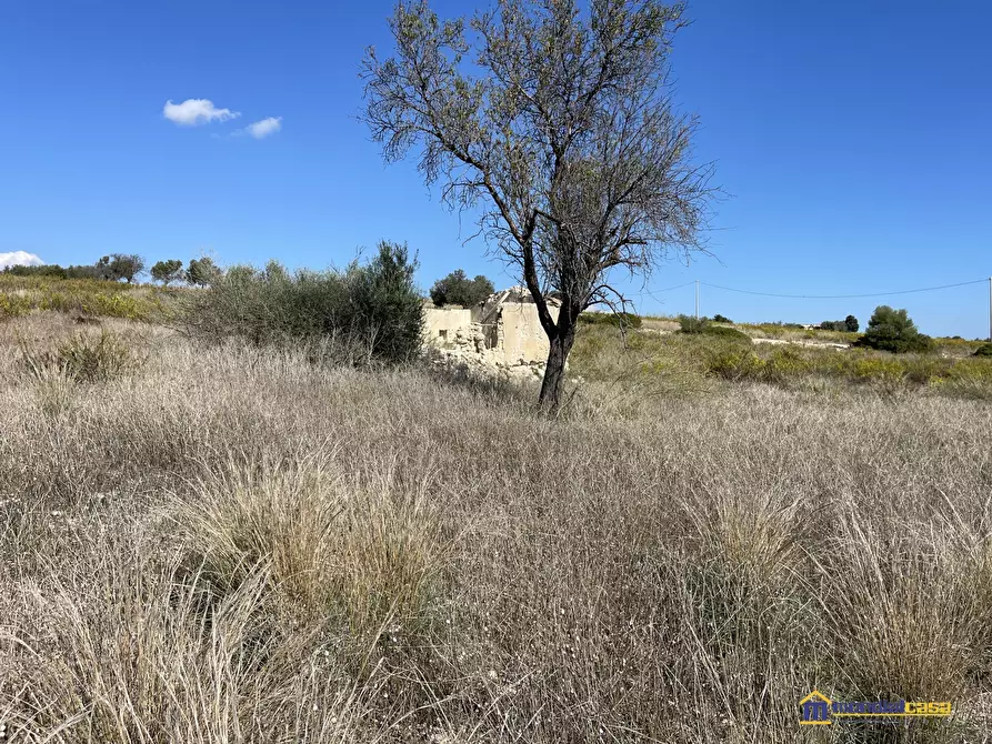 Immagine 10 di Terreno in vendita  a Noto