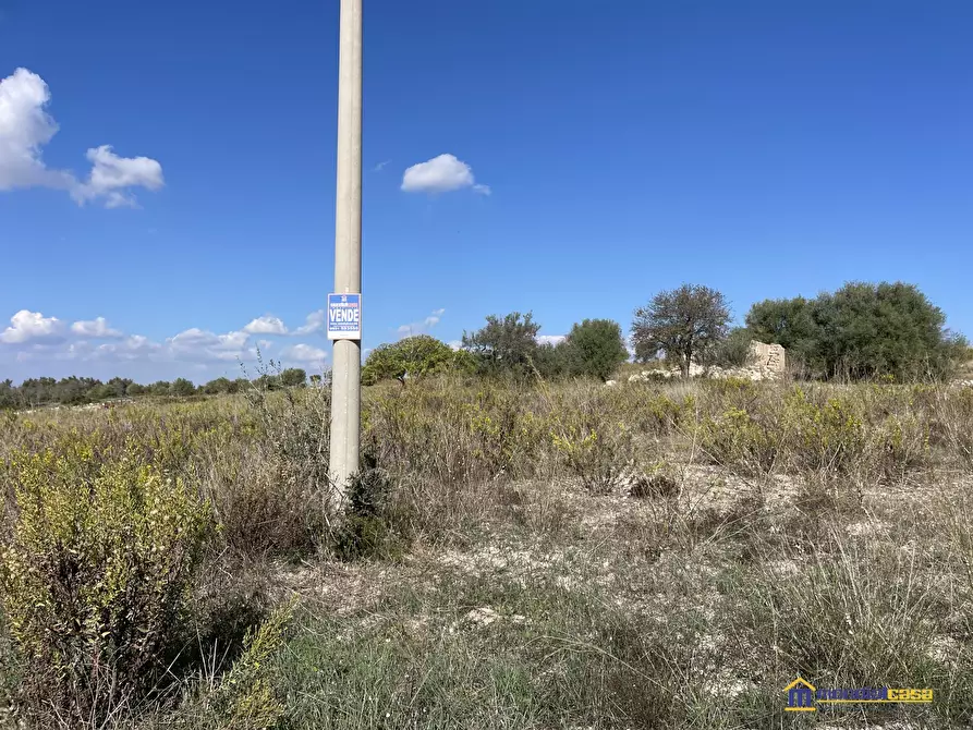 Immagine 2 di Terreno in vendita  a Noto