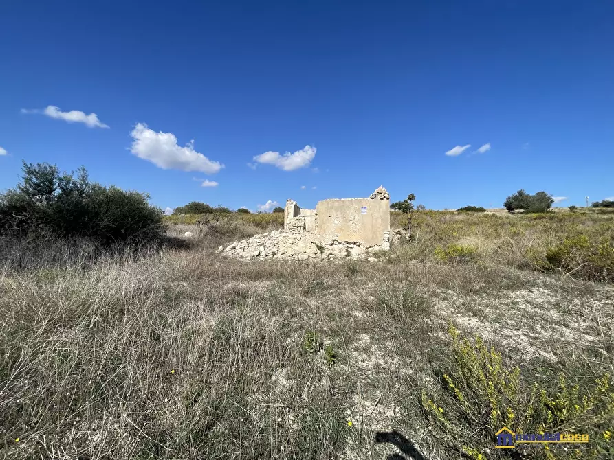 Immagine 9 di Terreno in vendita  a Noto