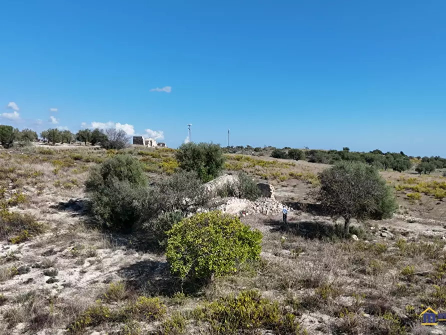 Immagine 7 di Terreno in vendita  a Noto