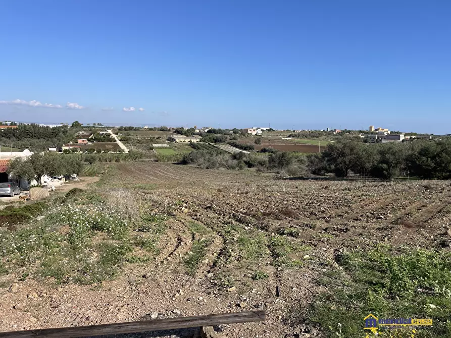 Immagine 5 di Terreno in vendita  a Pachino