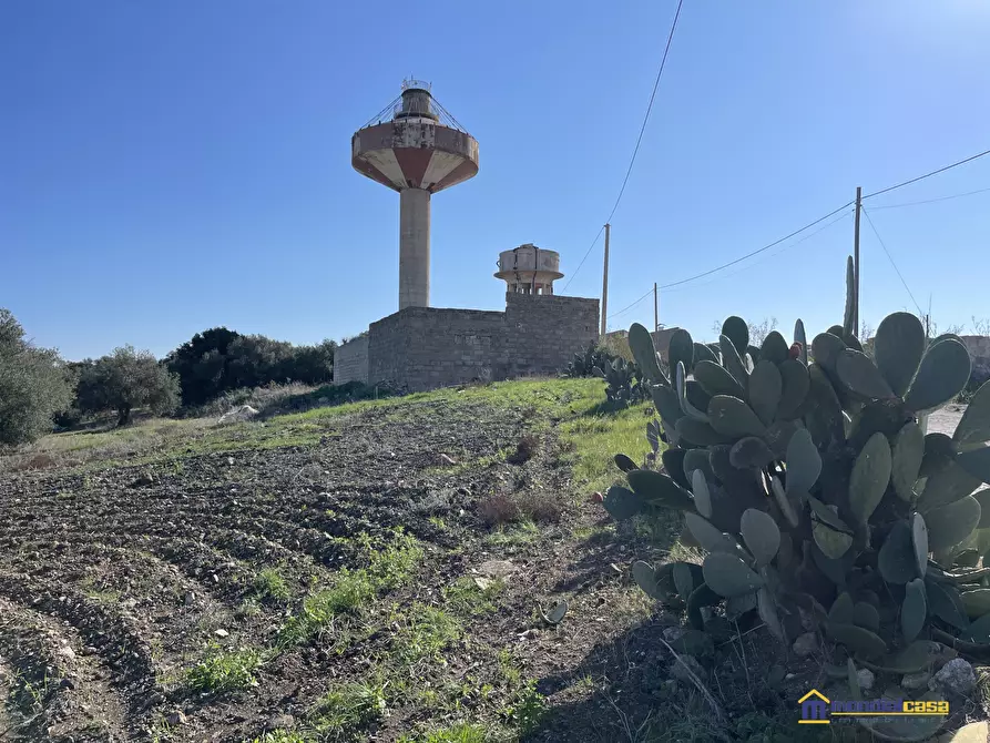 Immagine 6 di Terreno in vendita  a Pachino
