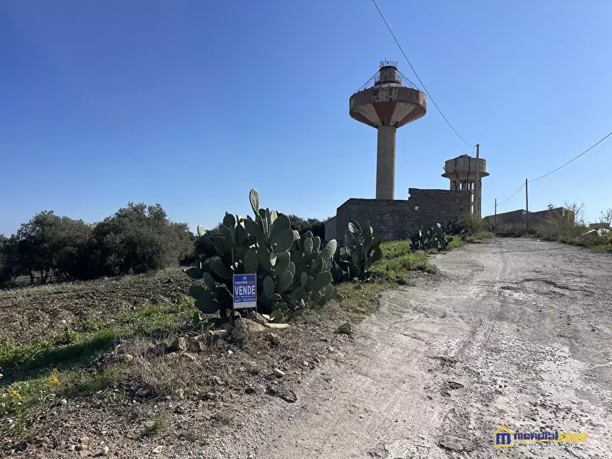 Immagine 3 di Terreno in vendita  a Pachino