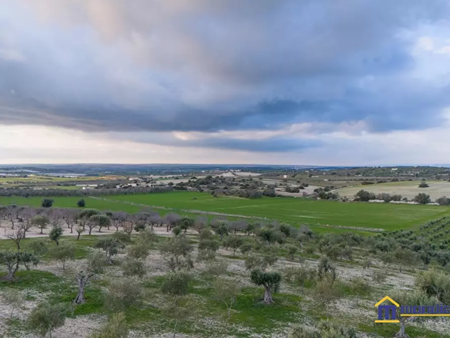 Immagine 4 di Terreno in vendita  a Noto