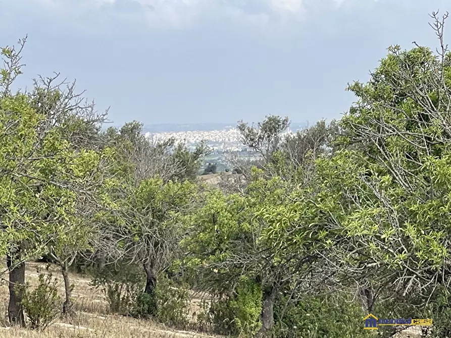Immagine 9 di Terreno in vendita  a Noto