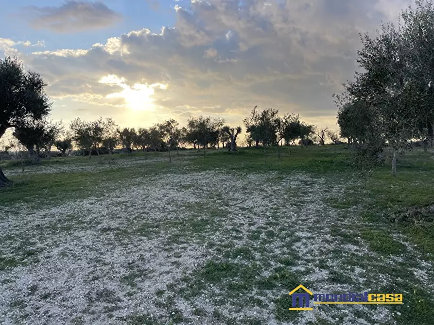 Immagine 2 di Terreno in vendita  a Noto