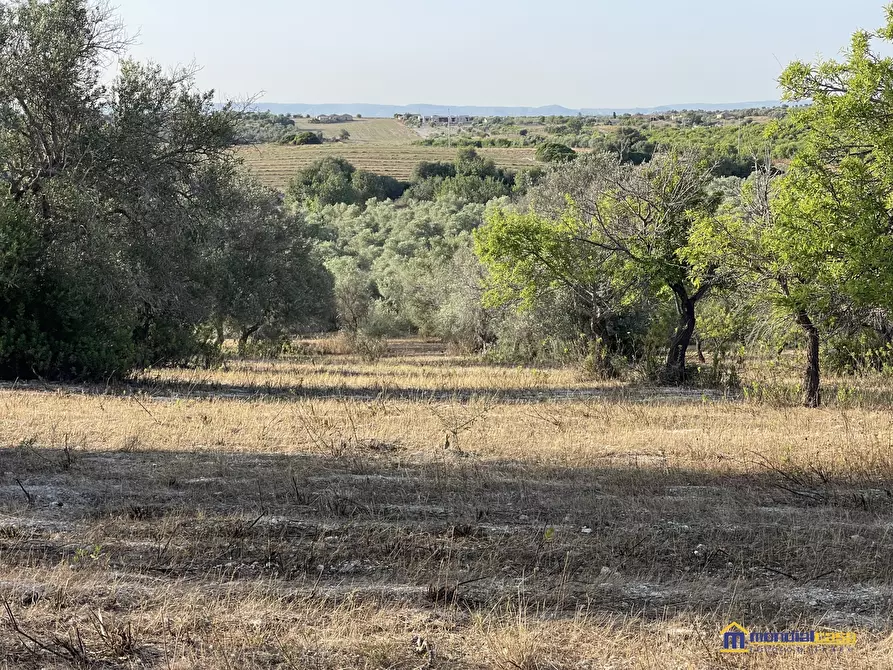 Immagine 6 di Terreno in vendita  a Noto