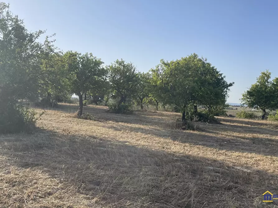 Immagine 7 di Terreno in vendita  a Noto